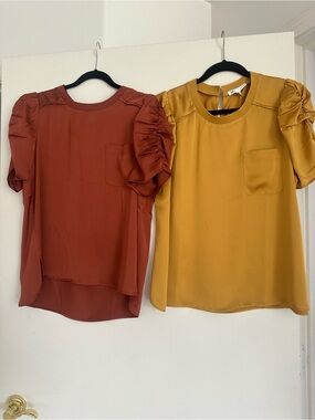 DR2 Ruched Sleeve Blouse in Rust & Mustard